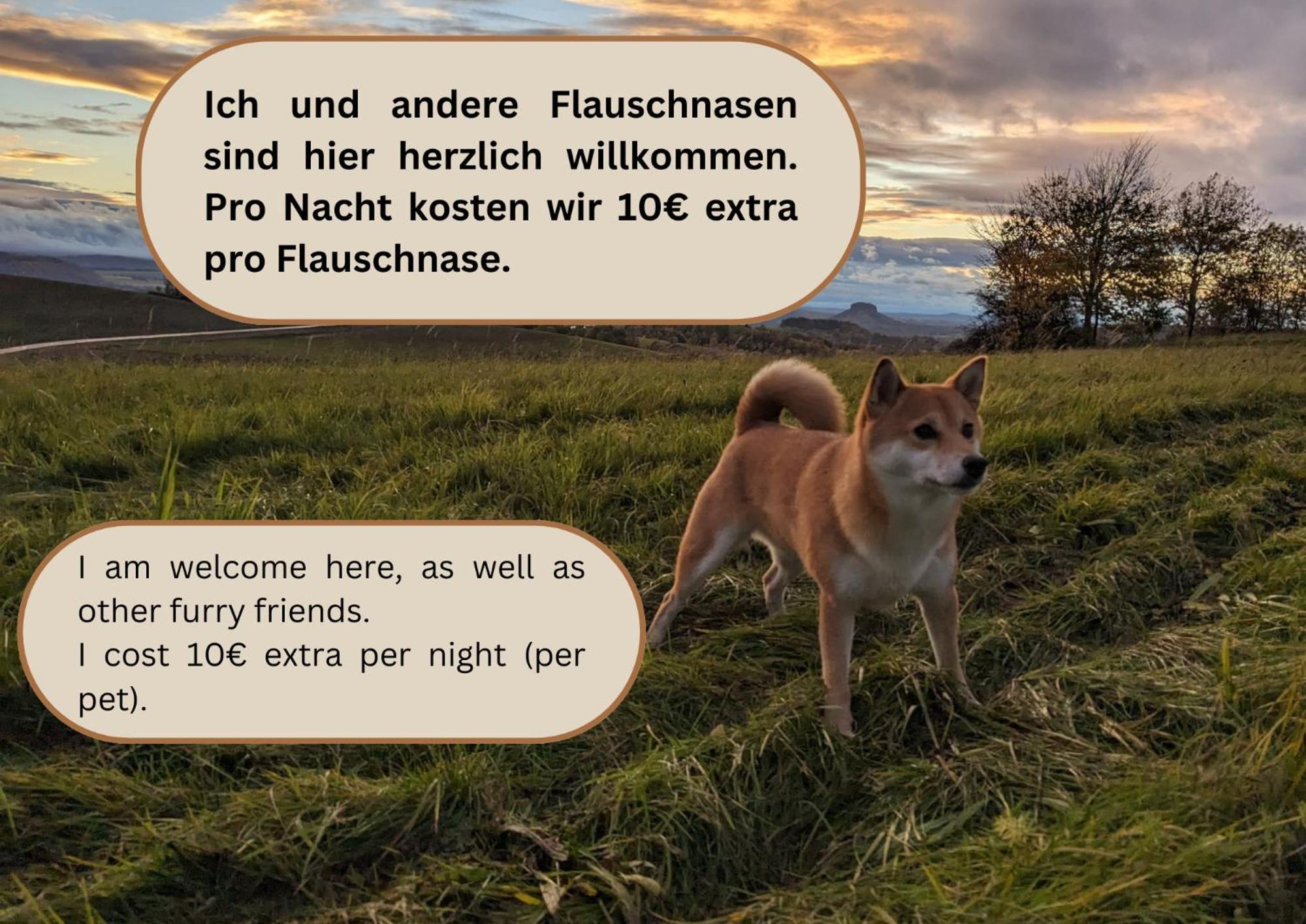S1 - Urlaubsmagie - Direkt Loswandern, Bis Zu 4P Sebnitz Eksteriør billede